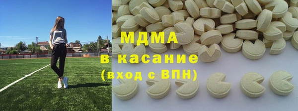 индика Каменногорск