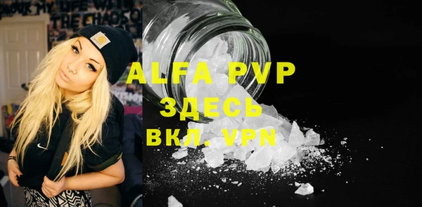 амф Верхний Тагил